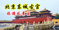 操骚货视频中国北京-东城古宫旅游风景区